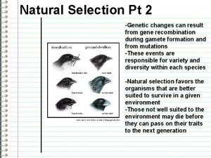 Natural Selection Pt 2 Genetic changes can result