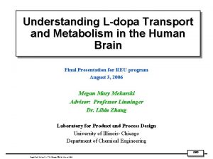 Understanding Ldopa Transport and Metabolism in the Human