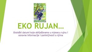 EKO RUJAN Ekoloki datumi koje obiljeavamo u mjesecu