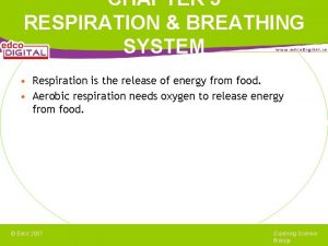 CHAPTER 5 RESPIRATION BREATHING SYSTEM Respiration is the