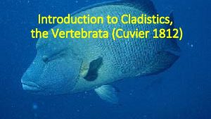 Introduction to Cladistics the Vertebrata Cuvier 1812 Classification