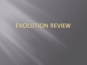 EVOLUTION REVIEW DOMAINS BACTERIA PROKARYOTE Domain Bacteria is