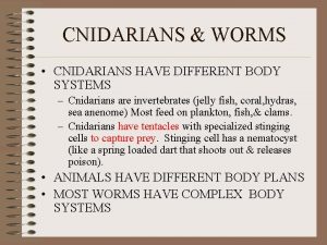 CNIDARIANS WORMS CNIDARIANS HAVE DIFFERENT BODY SYSTEMS Cnidarians