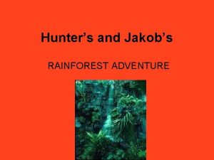 Hunters and Jakobs RAINFOREST ADVENTURE What is a