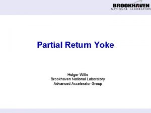 Partial Return Yoke Holger Witte Brookhaven National Laboratory