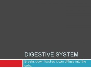 DIGESTIVE SYSTEM Breaks down food so it can