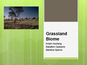 Grassland Biome Kristin Hoo Sang Babafemi Ojubanire Mariama