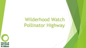 Wilderhood Watch Pollinator Highway What are pollinators Insects