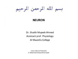 NEURON Dr Shaikh Mujeeb Ahmed Assistant prof Physiology