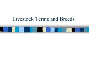 Livestock Terms and Breeds Beef Facts n n