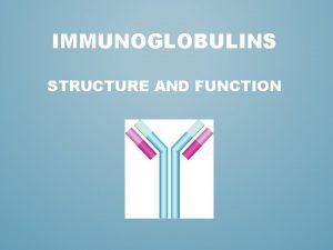 IMMUNOGLOBULINS STRUCTURE AND FUNCTION IMMUNOGLOBULINS Definition Glycoprotein molecules