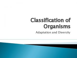 Classification of Organisms Adaptation and Diversity 1 Classification
