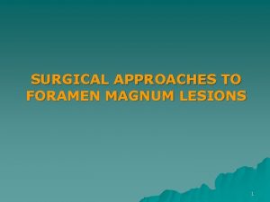 SURGICAL APPROACHES TO FORAMEN MAGNUM LESIONS 1 Surgical