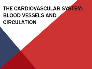 THE CARDIOVASCULAR SYSTEM BLOOD VESSELS AND CIRCULATION Arteries
