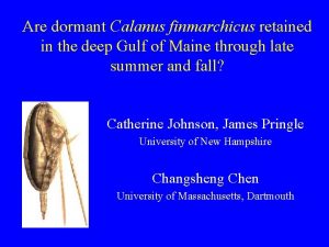 Are dormant Calanus finmarchicus retained in the deep