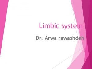 Limbic system Dr Arwa rawashdeh Tricks to remember