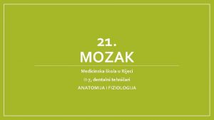 21 MOZAK Medicinska kola u Rijeci II7 dentalni