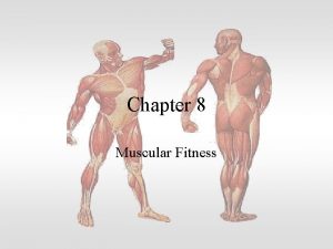 Chapter 8 Muscular Fitness What Is Muscular Fitness