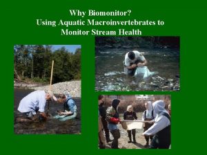 Why Biomonitor Using Aquatic Macroinvertebrates to Monitor Stream