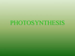 PHOTOSYNTHESIS Photosynthesis Chapter 6 B Autotrophs Heterotrophs Autotrophs