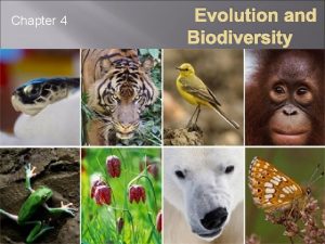 Chapter 4 Evolution and Biodiversity What is Biodiversity