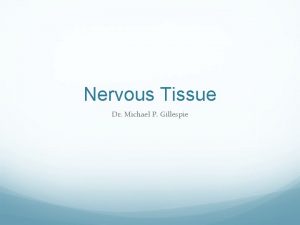 Nervous Tissue Dr Michael P Gillespie Nervous System