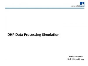 DHP Data Processing Simulation Mikhail Lemarenko Si Lab