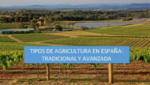 TIPOS DE AGRICULTURA EN ESPAA TRADICIONAL Y AVANZADA