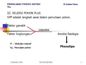 PEMULIAAN POHON HUTAN Plus III Seleksi Pohon III