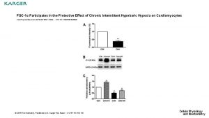 PGC1 Participates in the Protective Effect of Chronic