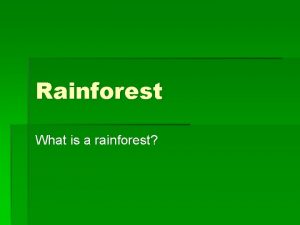 Rainforest What is a rainforest What is a