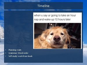 Timeline Planning Orals Grammar Word order Self study