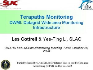 Terapaths Monitoring DWMI Datagrid Wide area Monitoring Infrastructure