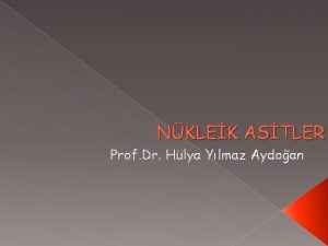 NKLEK ASTLER Prof Dr Hlya Ylmaz Aydoan Nkleik