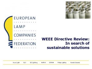 WEEE Directive Review In search of sustainable solutions