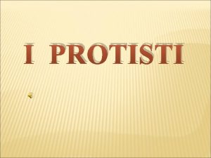 I PROTISTI LA CLASSIFICAZIONE DEI PROTISTI IL regno