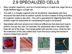 2 9 SPECIALIZED CELLS Many complex organisms such