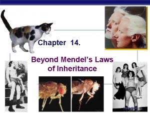 Chapter 14 Beyond Mendels Laws of Inheritance AP