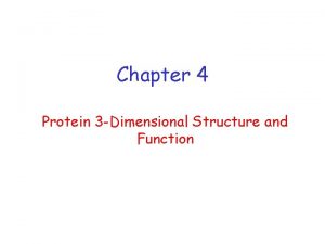 Chapter 4 Protein 3 Dimensional Structure and Function