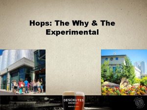 Hops The Why The Experimental Howd We Get
