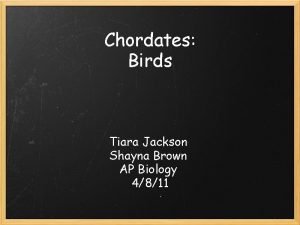 Chordates Birds Tiara Jackson Shayna Brown AP Biology