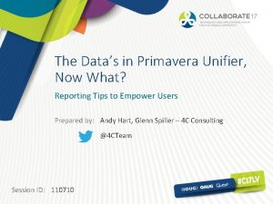 The Datas in Primavera Unifier Now What Reporting