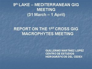 9 th LAKE MEDITERRANEAN GIG MEETING 31 March