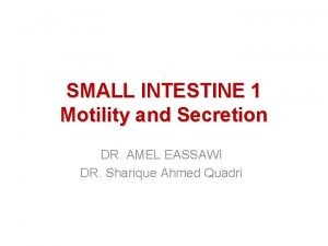 SMALL INTESTINE 1 Motility and Secretion DR AMEL