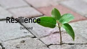 Resilience Defined Day 2 Most RESILIENT creatures on