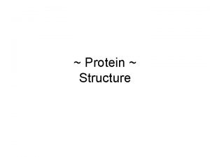 Protein Structure Review Protein Structures Use the material