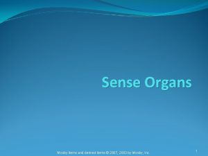 Sense Organs Mosby items and derived items 2007