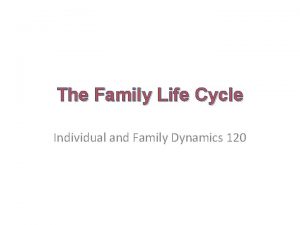 The Family Life Cycle Individual and Family Dynamics