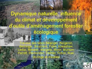 Dynamique naturelle influence du climat et dveloppement doutils