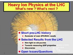 Heavy Ion Physics at the LHC Whats new
